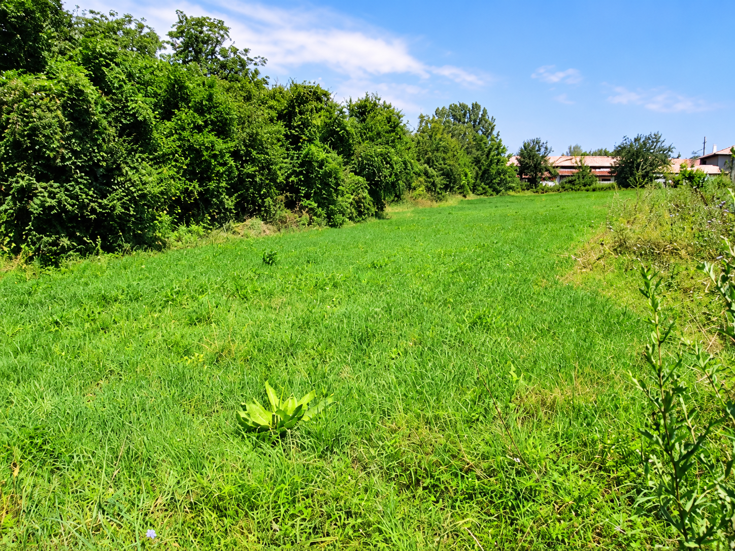House for Sale in Lyubichevo, Targovishte